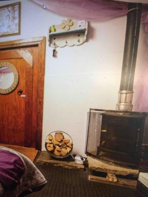 Cosy Woodland Romantic Retreat With Log Fires And Nature Sturry 외부 사진
