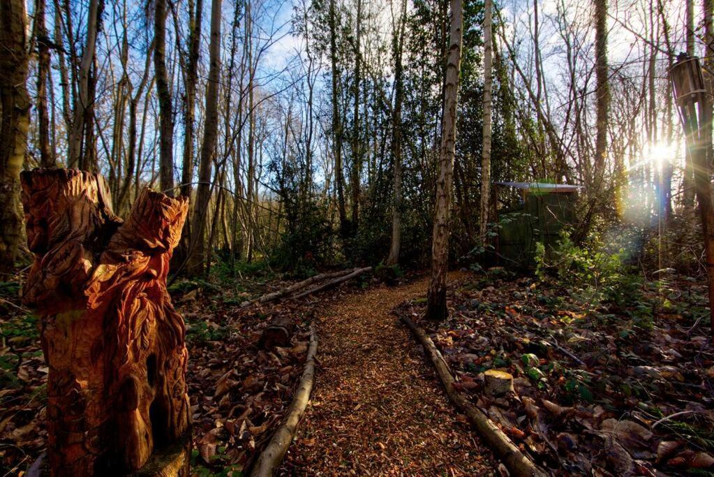 Cosy Woodland Romantic Retreat With Log Fires And Nature Sturry 외부 사진