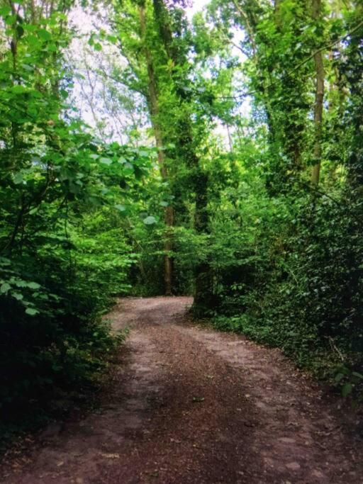 Cosy Woodland Romantic Retreat With Log Fires And Nature Sturry 외부 사진