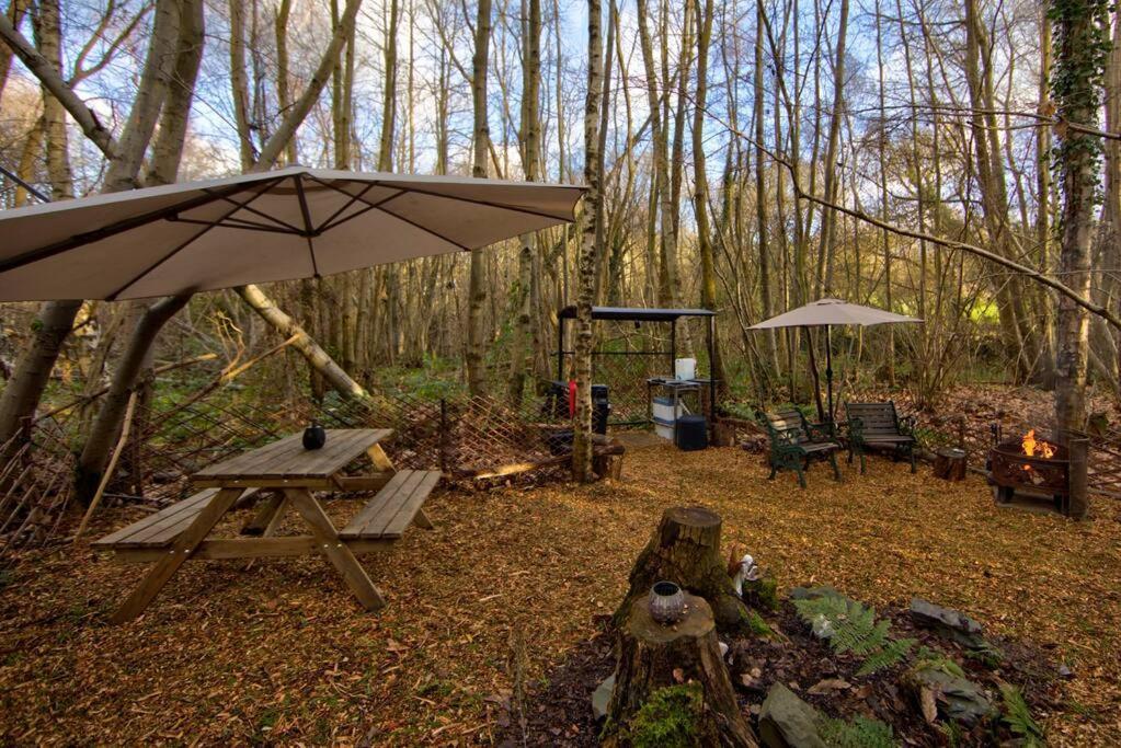 Cosy Woodland Romantic Retreat With Log Fires And Nature Sturry 외부 사진