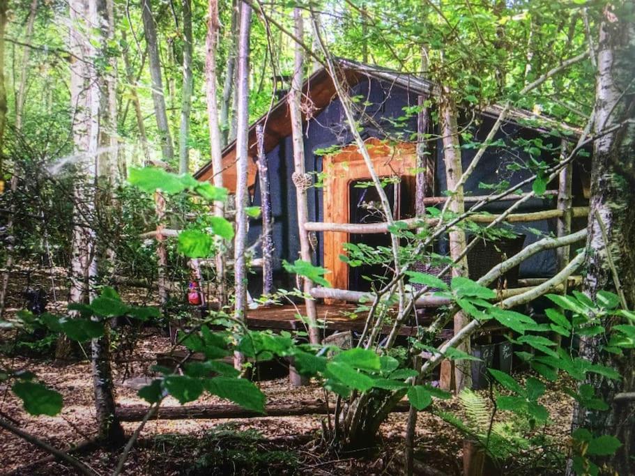 Cosy Woodland Romantic Retreat With Log Fires And Nature Sturry 외부 사진