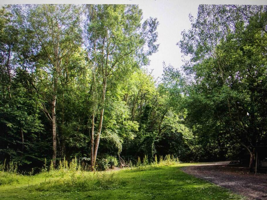 Cosy Woodland Romantic Retreat With Log Fires And Nature Sturry 외부 사진