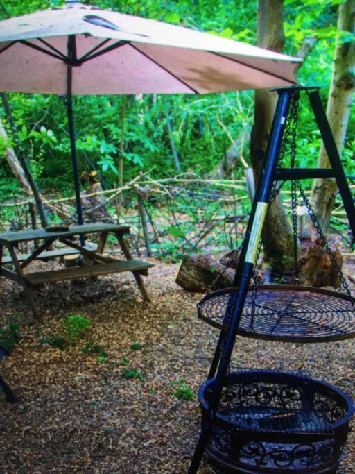 Cosy Woodland Romantic Retreat With Log Fires And Nature Sturry 외부 사진