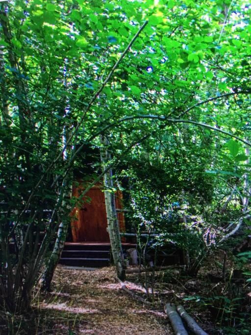 Cosy Woodland Romantic Retreat With Log Fires And Nature Sturry 외부 사진