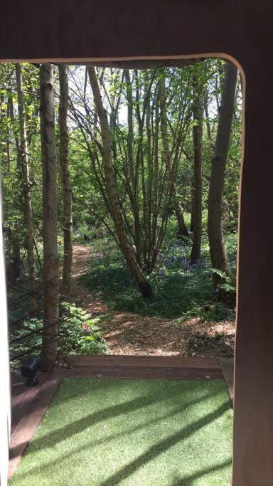 Cosy Woodland Romantic Retreat With Log Fires And Nature Sturry 외부 사진