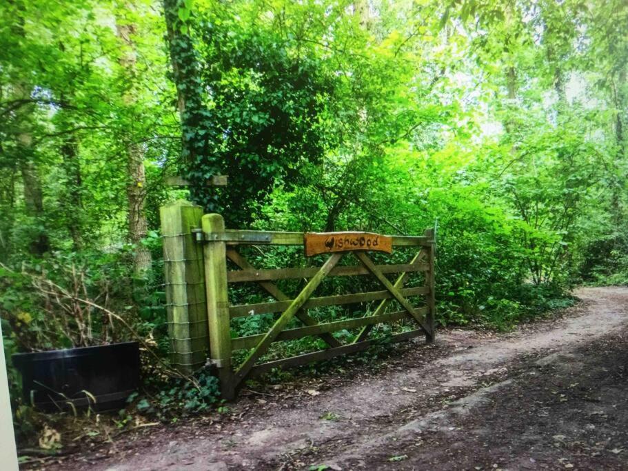 Cosy Woodland Romantic Retreat With Log Fires And Nature Sturry 외부 사진