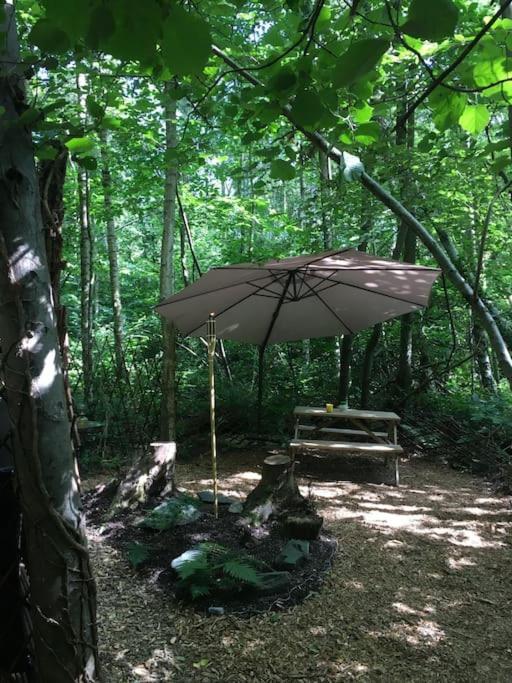 Cosy Woodland Romantic Retreat With Log Fires And Nature Sturry 외부 사진