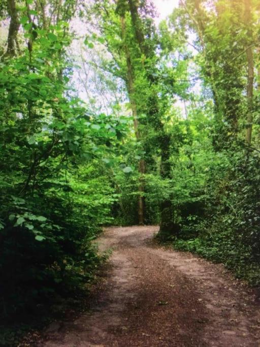 Cosy Woodland Romantic Retreat With Log Fires And Nature Sturry 외부 사진