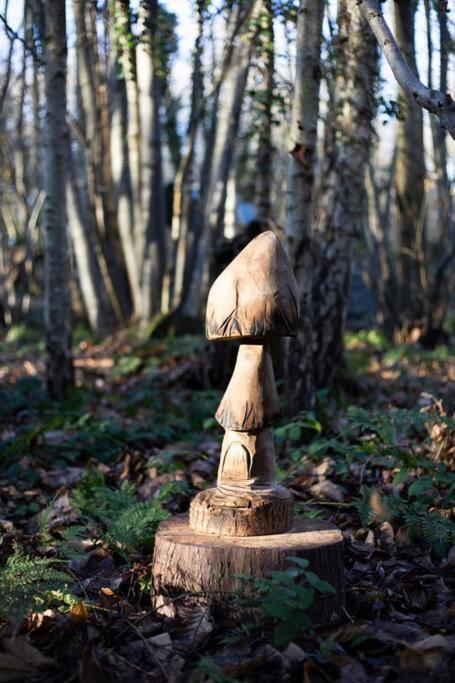 Cosy Woodland Romantic Retreat With Log Fires And Nature Sturry 외부 사진