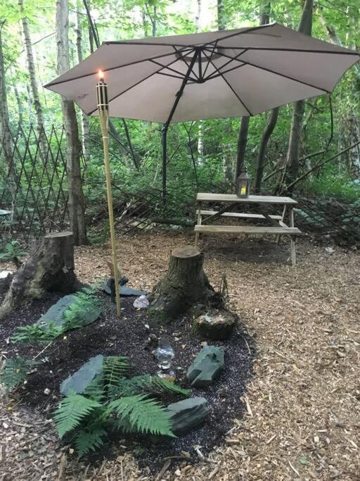 Cosy Woodland Romantic Retreat With Log Fires And Nature Sturry 외부 사진