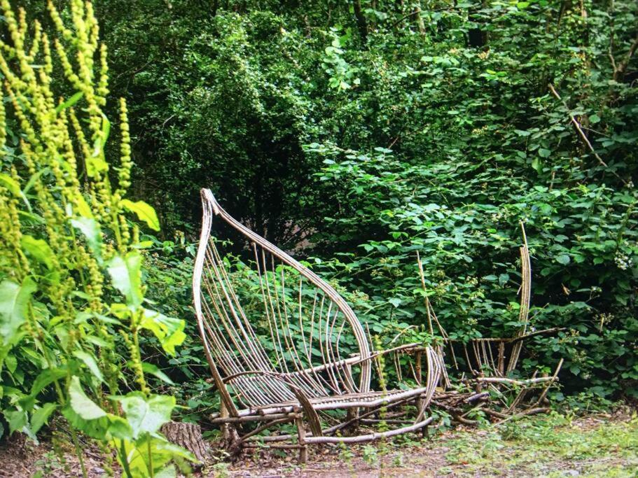 Cosy Woodland Romantic Retreat With Log Fires And Nature Sturry 외부 사진