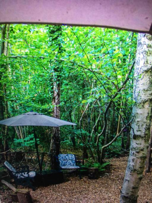 Cosy Woodland Romantic Retreat With Log Fires And Nature Sturry 외부 사진