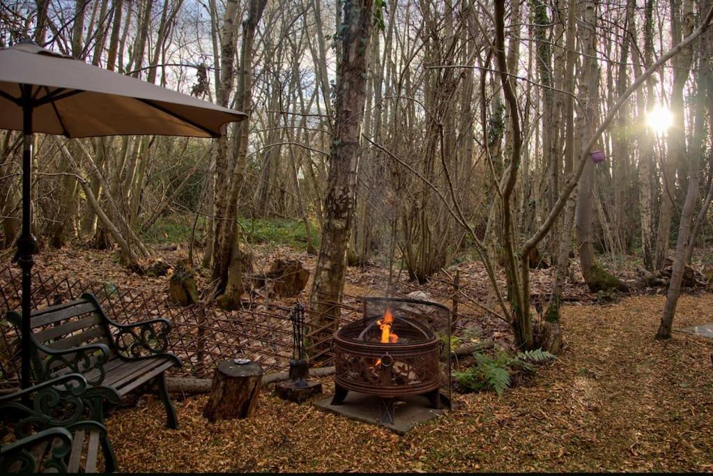 Cosy Woodland Romantic Retreat With Log Fires And Nature Sturry 외부 사진