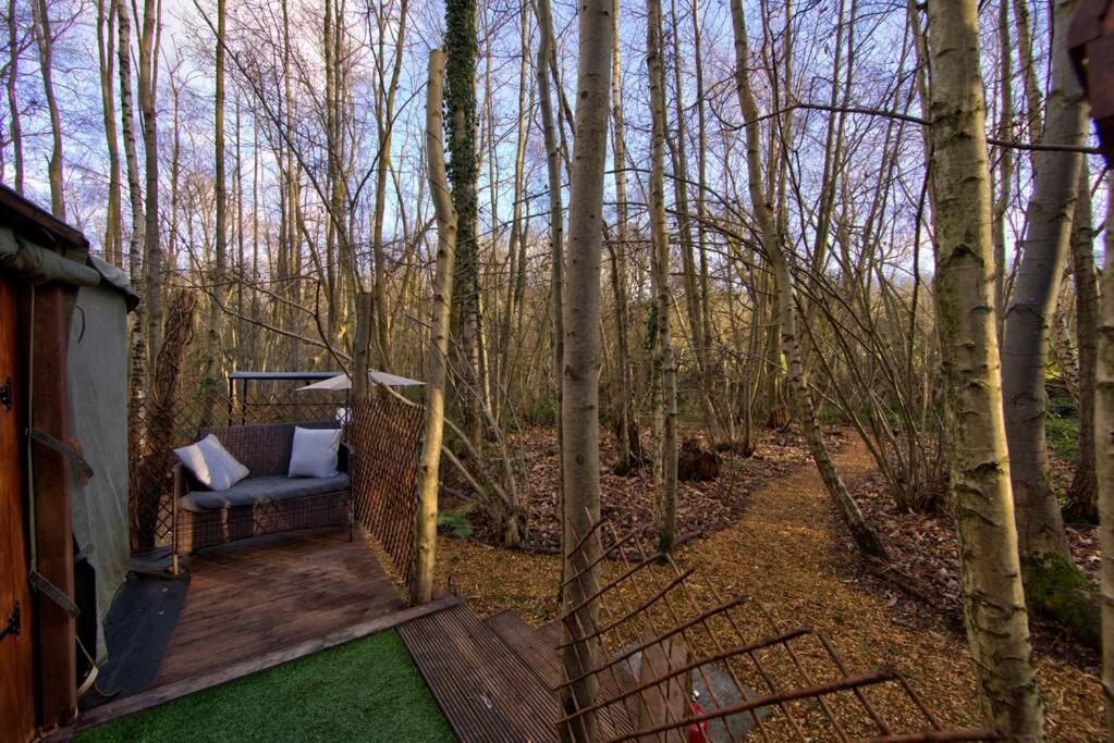 Cosy Woodland Romantic Retreat With Log Fires And Nature Sturry 외부 사진